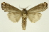  ( - INB0003765673)  @11 [ ] Copyright (2012) Juan Mata Lorenzen Unspecified