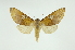  ( - INB0003765705)  @13 [ ] Copyright (2012) Juan Mata Lorenzen Unspecified