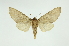 ( - INB0003765705)  @13 [ ] Copyright (2012) Juan Mata Lorenzen Unspecified