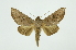  ( - INB0003765708)  @13 [ ] Copyright (2012) Juan Mata Lorenzen INBio
