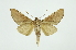  ( - INB0003765708)  @12 [ ] Copyright (2012) Juan Mata Lorenzen INBio