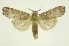  ( - INB0003766002)  @11 [ ] Copyright (2012) Juan Mata Lorenzen Unspecified