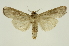  ( - INB0003766002)  @11 [ ] Copyright (2012) Juan Mata Lorenzen Unspecified