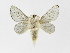  ( - INB0003766072)  @11 [ ] Copyright (2012) J. Montero Instituto Nacional de Biodiversidad