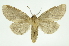  ( - INB0003766134)  @12 [ ] Copyright (2012) Juan Mata Lorenzen Unspecified