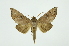 ( - INB0003766161)  @13 [ ] Copyright (2012) Juan Mata Lorenzen INBio