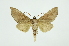  ( - INB0003766161)  @12 [ ] Copyright (2012) Juan Mata Lorenzen INBio