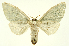  ( - INB0003766182)  @11 [ ] Copyright (2012) Juan Mata Lorenzen Unspecified