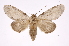  ( - INB0003766373)  @14 [ ] Copyright (2012) I. Chacon Instituto Nacional de Biodiversidad