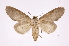  ( - INB0003766373)  @13 [ ] Copyright (2012) I. Chacon Instituto Nacional de Biodiversidad