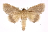  ( - INB0003766505)  @14 [ ] Copyright (2012) I. Chacon Instituto Nacional de Biodiversidad