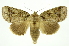  ( - INB0003772612)  @15 [ ] Copyright (2012) Juan Mata Lorenzen Unspecified