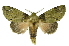  ( - INB0003772681)  @11 [ ] Copyright (2012) Juan Mata Lorenzen Unspecified