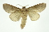  ( - INB0003772755)  @14 [ ] Copyright (2012) Juan Mata Lorenzen Unspecified