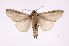 ( - INB0003772773)  @13 [ ] Copyright (2012) I. Chacon Instituto Nacional de Biodiversidad