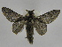  ( - INB0003772775)  @14 [ ] Copyright (2012) J. Montero Instituto Nacional de Biodiversidad
