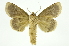  ( - INB0003779243)  @11 [ ] Copyright (2012) Juan Mata Lorenzen Unspecified