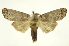  ( - INB0003779508)  @11 [ ] Copyright (2012) Juan Mata Lorenzen Unspecified
