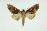  ( - INB0003779567)  @11 [ ] Copyright (2012) Juan Mata Lorenzen Unspecified