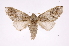  ( - INB0003779595)  @14 [ ] Copyright (2012) I. Chacon Instituto Nacional de Biodiversidad