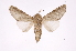  ( - INB0003779595)  @14 [ ] Copyright (2012) I. Chacon Instituto Nacional de Biodiversidad