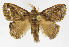  ( - INB0003783539)  @11 [ ] Copyright (2012) J. Montero Instituto Nacional de Biodiversidad