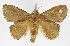  ( - INB0003783539)  @11 [ ] Copyright (2012) J. Montero Instituto Nacional de Biodiversidad