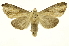 ( - INB0003783557)  @11 [ ] Copyright (2012) Juan Mata Lorenzen Unspecified