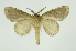  ( - INB0003784094)  @11 [ ] Copyright (2012) Juan Mata Lorenzen Unspecified