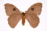  ( - INB0003786204)  @14 [ ] Copyright (2012) I. Chacon Instituto Nacional de Biodiversidad