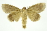  ( - INB0003835548)  @15 [ ] Copyright (2012) Juan Mata Lorenzen Unspecified