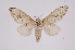  ( - INB0003835643)  @13 [ ] Copyright (2012) I. Chacon Instituto Nacional de Biodiversidad