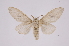  ( - INB0003835643)  @13 [ ] Copyright (2012) I. Chacon Instituto Nacional de Biodiversidad