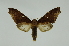  ( - INB0003836937)  @13 [ ] Copyright (2012) Juan Mata Lorenzen Unspecified