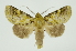  ( - INB0003837098)  @11 [ ] Copyright (2012) Juan Mata Lorenzen Unspecified