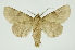  ( - INB0003837098)  @11 [ ] Copyright (2012) Juan Mata Lorenzen Unspecified
