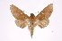  ( - INB0003837105)  @14 [ ] Copyright (2012) I. Chacon Instituto Nacional de Biodiversidad