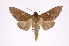  ( - INB0003838673)  @13 [ ] Copyright (2012) I. Chacon Instituto Nacional de Biodiversidad