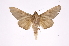  ( - INB0003838673)  @13 [ ] Copyright (2012) I. Chacon Instituto Nacional de Biodiversidad