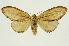  ( - INB0003843926)  @11 [ ] Copyright (2012) Juan Mata Lorenzen Unspecified
