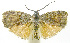  ( - INB0003846713)  @13 [ ] CreativeCommons - Attribution Non-Commercial Share-Alike (2012) National Biodiversity Institute of Costa Rica National Biodiversity Institute of Costa Rica