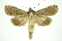  ( - INB0003849946)  @13 [ ] Copyright (2012) Juan Mata Lorenzen Unspecified