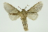  ( - INB0003851742)  @11 [ ] Copyright (2012) Juan Mata Lorenzen Unspecified