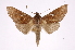  ( - INB0003851755)  @15 [ ] Copyright (2012) I. Chacon Instituto Nacional de Biodiversidad