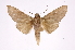  ( - INB0003851755)  @13 [ ] Copyright (2012) I. Chacon Instituto Nacional de Biodiversidad