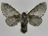  ( - INB0003851765)  @13 [ ] Copyright (2012) J. Montero Instituto Nacional de Biodiversidad