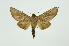  ( - INB0003852593)  @13 [ ] Copyright (2012) Juan Mata Lorenzen INBio