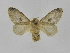  ( - INB0003852602)  @14 [ ] Copyright (2012) J. Montero Instituto Nacional de Biodiversidad