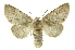  ( - INB0003852756)  @11 [ ] Copyright (2012) Juan Mata Lorenzen Unspecified