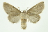  ( - INB0003852756)  @11 [ ] Copyright (2012) Juan Mata Lorenzen Unspecified